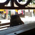 Suasana di eks Lokalisasi Suko di Sumberpucung, Kabupaten Malang (C) MALANGVOICE