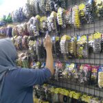 Salah satu pembeli tampak sedang memilih barang di Toko Petra Accesories, Kota Malang. (Foto: Riska Suci Rahmawati)