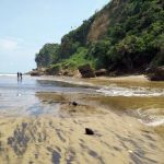 Pantai Pesanggrahan yang mempesona di Kecamatan Gedangan (C) PANTAI MALANG