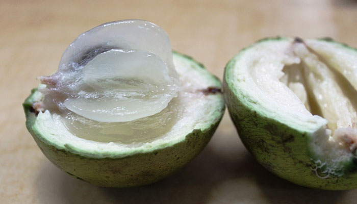 Buah Kenitu mempunyai tekstur yang lembut | Foto: Buah Langka Indonesia