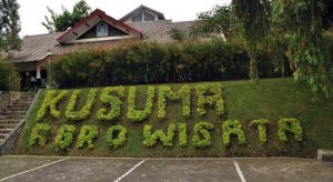 Kusuma Agrowisata Batu terkenal dengan wisata agro-nya