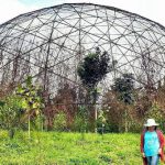 Keindahan Taman Burung dan Taman Buah Jeru yang terlupakan (C) @Indawatidewi