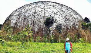 Keindahan Taman Burung dan Taman Buah Jeru yang terlupakan (C) @Indawatidewi