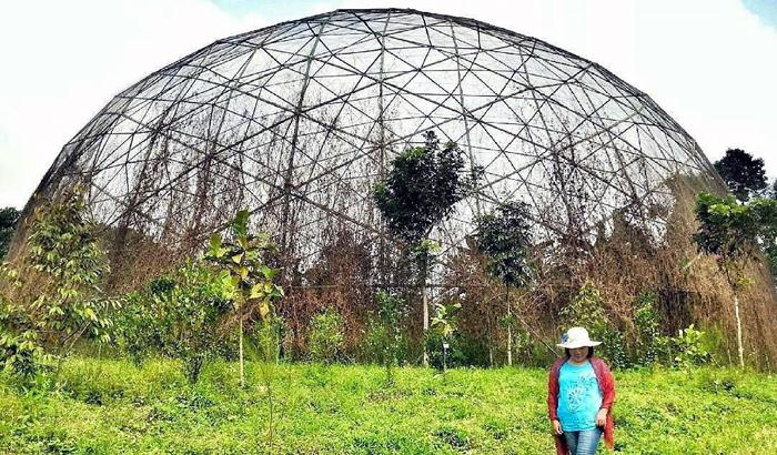 Keindahan Taman Burung dan Taman Buah Jeru yang terlupakan (C) @Indawatidewi