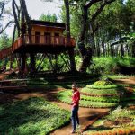 Kampung Enam Wajak, destinasi wisata anyar di Kabupaten Malang (C) @yoiki_malang