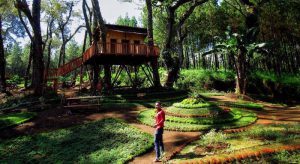 Kampung Enam Wajak, destinasi wisata anyar di Kabupaten Malang (C) @yoiki_malang