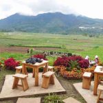 Cafe Sawah Pujon yang benar-benar ada di persawahan (C) IQBALAZHAR