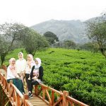 Bukit Kuneer di Singosari, jadi wisata andalan baru Kabupaten Malang (C) @dhiangarsuta