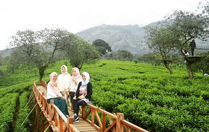 Bukit Kuneer di Singosari, jadi wisata andalan baru Kabupaten Malang (C) @dhiangarsuta
