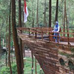 Salah satu spot instagramable di Taman Pinus Bendosari (C) PHOTOMALANG