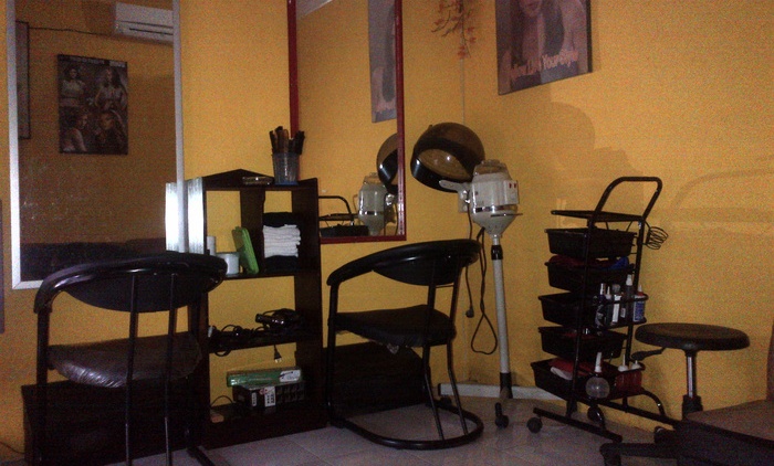 Pengusaha Salon pasti membutuhkan kerjasama dengan Toko Alat-alat Salon (C) TOKOPEDIA