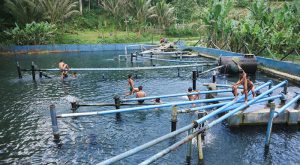 Kecamatan Tajinan punya wisata air bernama Sumber Ngembul (C) JELAJAHMALANGKU