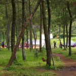 Selorejo punya Wana Wisata Bedengan seperti di Poncokusumo (C) MERDEKA.COM