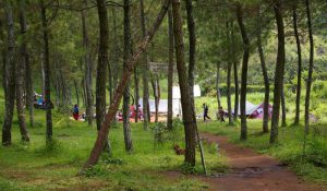 Selorejo punya Wana Wisata Bedengan seperti di Poncokusumo (C) MERDEKA.COM