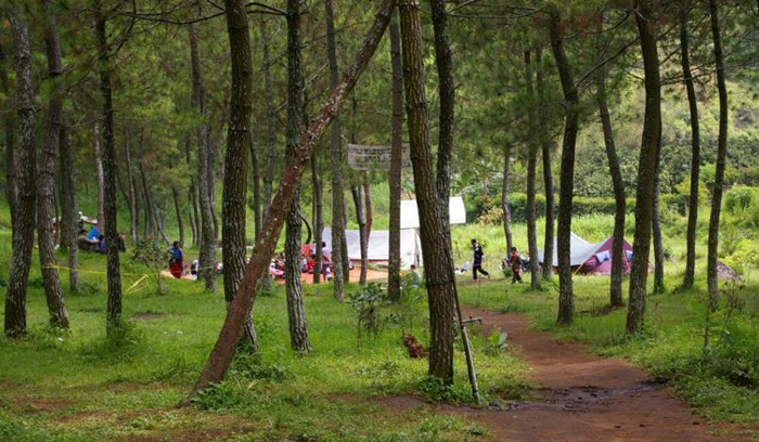 Selorejo punya Wana Wisata Bedengan seperti di Poncokusumo (C) MERDEKA.COM