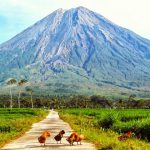 Penampakan Gunung Semeru yang menjadi Paku Bumi Pulau Jawa (C) MR FARIZAL
