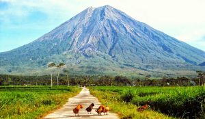 Penampakan Gunung Semeru yang menjadi Paku Bumi Pulau Jawa (C) MR FARIZAL