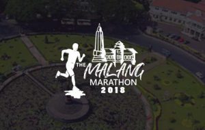 Logo The Malang Marathon
