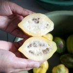 Buah Karikaya yang mengandung cairan untuk cuci tangan warga Suku Tengger (C) DARMADI SASONGKO/MERDEKA