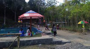 Sumber Kembar di Kecamatan Turen (C) FACEBOOK GUNAWAN