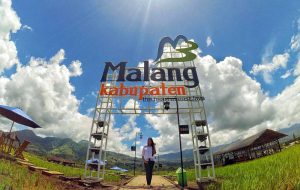 Malang yang Malang (C) PROKOTA