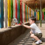 Pemandangan seorang anak sedang berada di dalam Baby Zoo (C) JTP GROUP