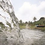 Embung Cempaka di Pakis (C) RADARMALANG