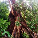 Petirtaan Nyi Beji Sari di Kelurahan Jatimulyo (C) MALANG POST