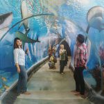 Salah satu spot di Wisata Selfie Point 3D Ilusi (SP3DI) (C) SP3DI