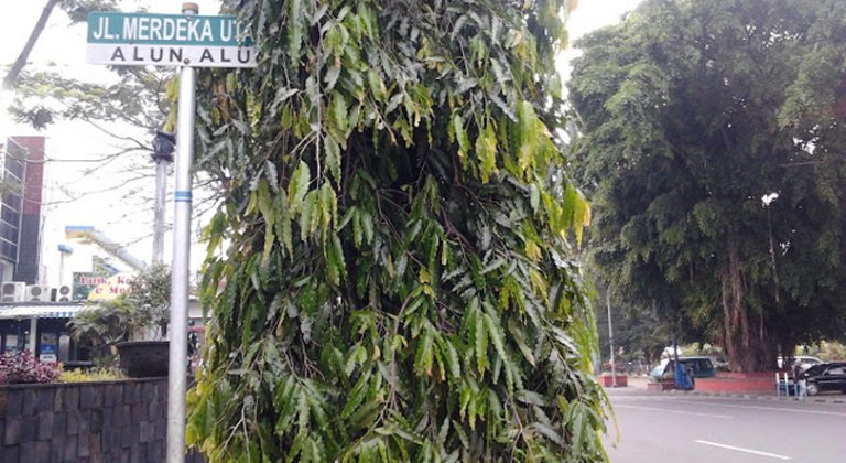 Jalan Merdeka Utara Kota Malang yang penuh sejarah (C) JALAN JALAN DI KOTA MALANG