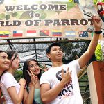 World Of Parrot Eco Green Park (C) JTP GROUP