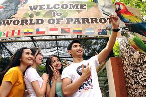 World Of Parrot Eco Green Park (C) JTP GROUP