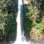 Coban Tarzan di Kaki Gunung Bromo (C) OKEZONE