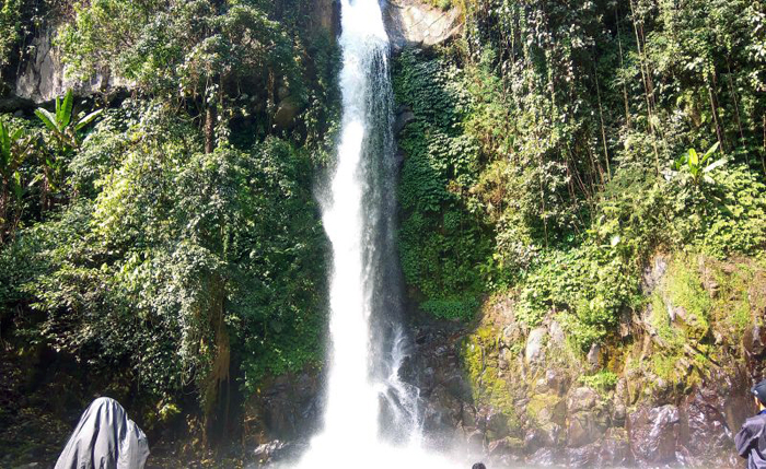 Coban Tarzan di Kaki Gunung Bromo (C) OKEZONE