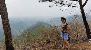 Bukit Callindra (C) TRIPADVISOR