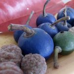 Buah Genitri yang lang di Malang (C) MALANGTIMES