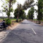 Jalan Kuncoro, Tikungan Maut yang Dijaga Leak (C) RADAR MALANG