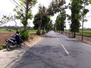 Jalan Kuncoro, Tikungan Maut yang Dijaga Leak (C) RADAR MALANG