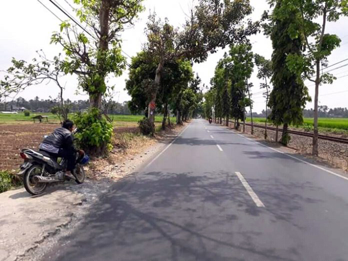 Jalan Kuncoro, Tikungan Maut yang Dijaga Leak (C) RADAR MALANG