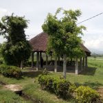 Menguak Asal-usul Situs Lembu Peteng di Desa Karangkates (C) SUMBERPUCUNG17