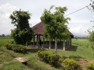 Menguak Asal-usul Situs Lembu Peteng di Desa Karangkates (C) SUMBERPUCUNG17