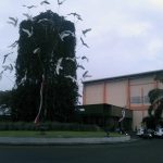 Bundaran Araya, Ikon yang Indah dan Strategis