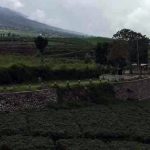 Wisata Desa Kaki Langit Sumberbrantas Batu (C) MALANGVOICE