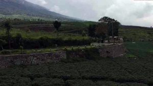 Wisata Desa Kaki Langit Sumberbrantas Batu (C) MALANGVOICE