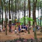 Precet Forest Park (C) GOTRAVELLY