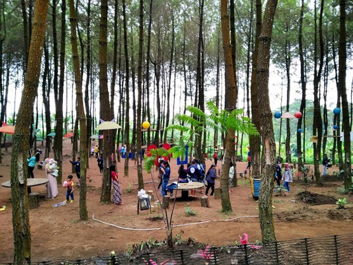 Precet Forest Park (C) GOTRAVELLY