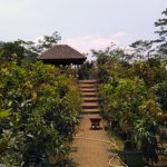 Bunder Hortikultura, Wisata Agro di Wagir