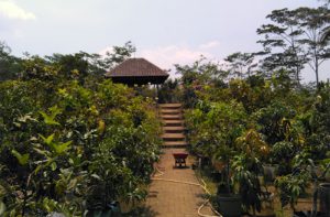 Bunder Hortikultura, Wisata Agro di Wagir