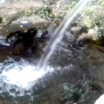 Misteri Masjid Gaib di Sumber Bendo Jabung (C) AYODOLENREK