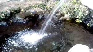 Misteri Masjid Gaib di Sumber Bendo Jabung (C) AYODOLENREK